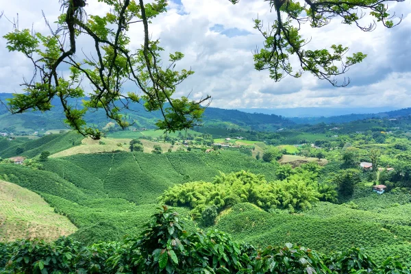 colombia countryside